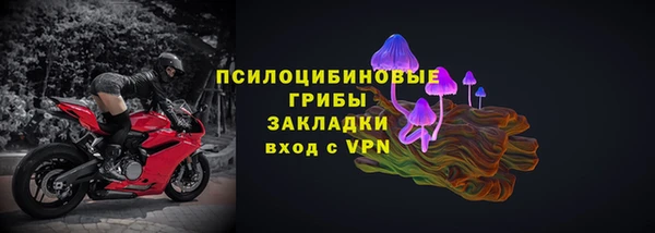 ECSTASY Белокуриха